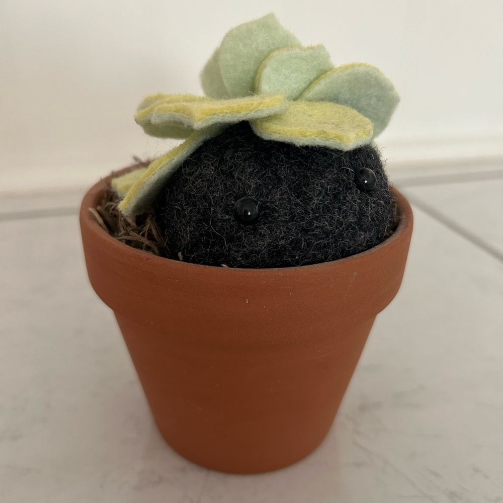 Felt Succulent Plant with Pet Rock in Clay Pot.
